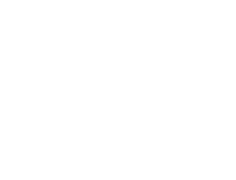 ZL